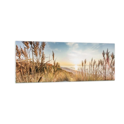 Cuadro sobre vidrio - Impresiones sobre Vidrio - Una playa pintoresca con césped y la puesta de sol. - 140x50cm - Playa del norte - Decoración de pared moderna para salón y dormitorio ARTTOR