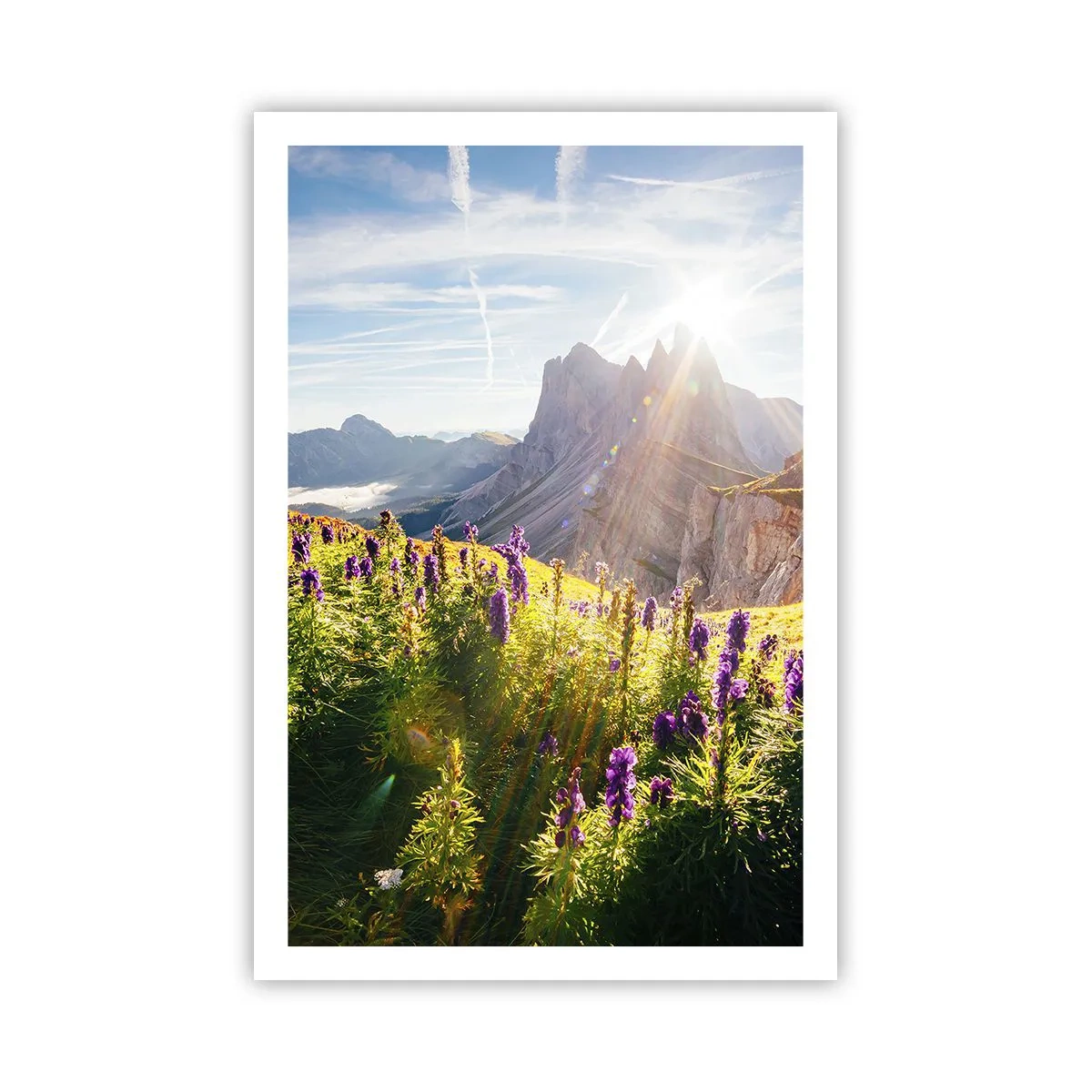 Póster - La vida secreta de las hierbas - 61x91 cm