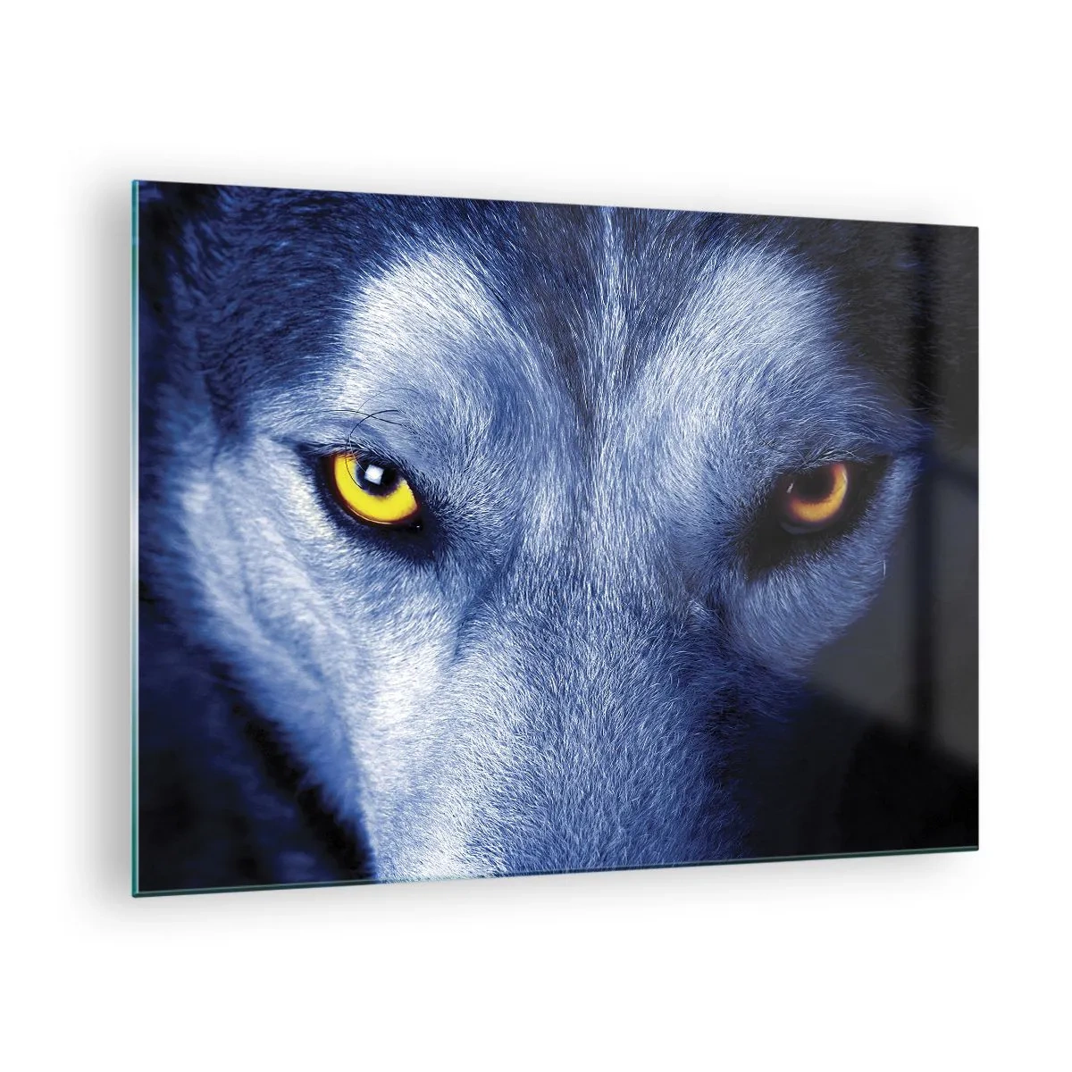 Cuadro sobre vidrio - Impresiones sobre Vidrio - La mirada hipnótica de un lobo - 70x50cm - La mirada hipnótica - Decoración de pared moderna para salón y dormitorio ARTTOR