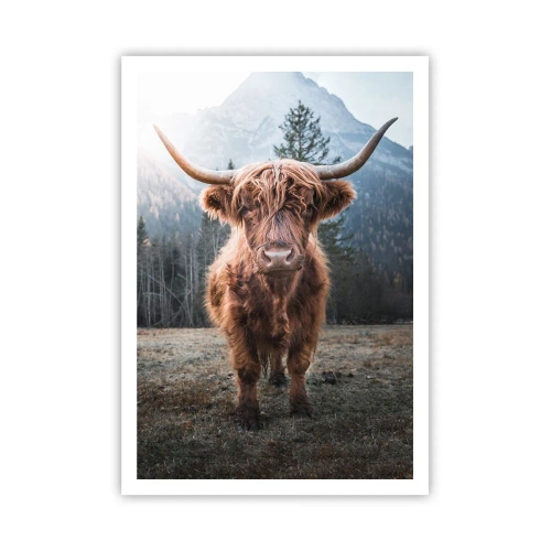 Póster - Saludos desde un prado de montaña - 70x100 cm