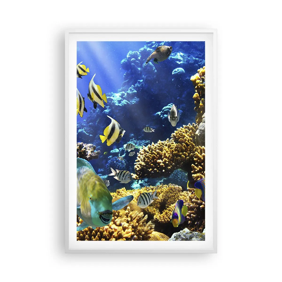 Póster en marco blanco - Vacaciones submarinas - 61x91 cm
