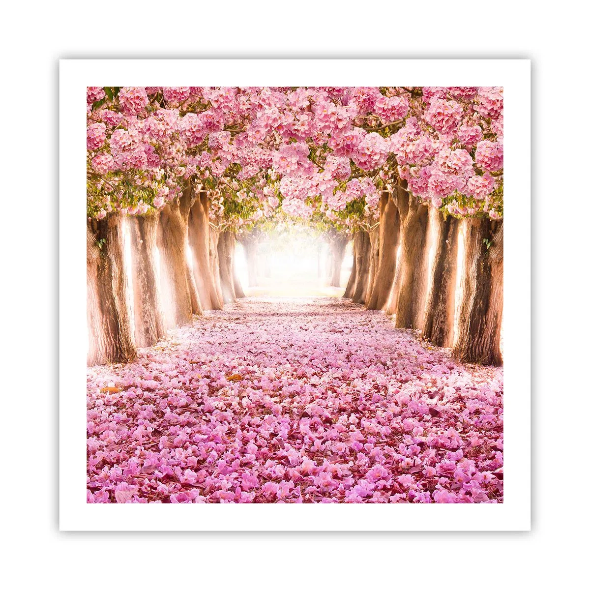 Póster - El camino al paraíso - 60x60 cm