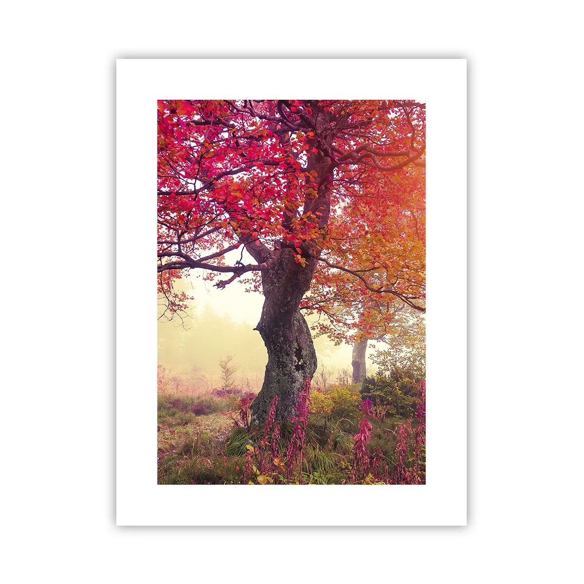 Póster - Un frenesí de floración - 30x40 cm