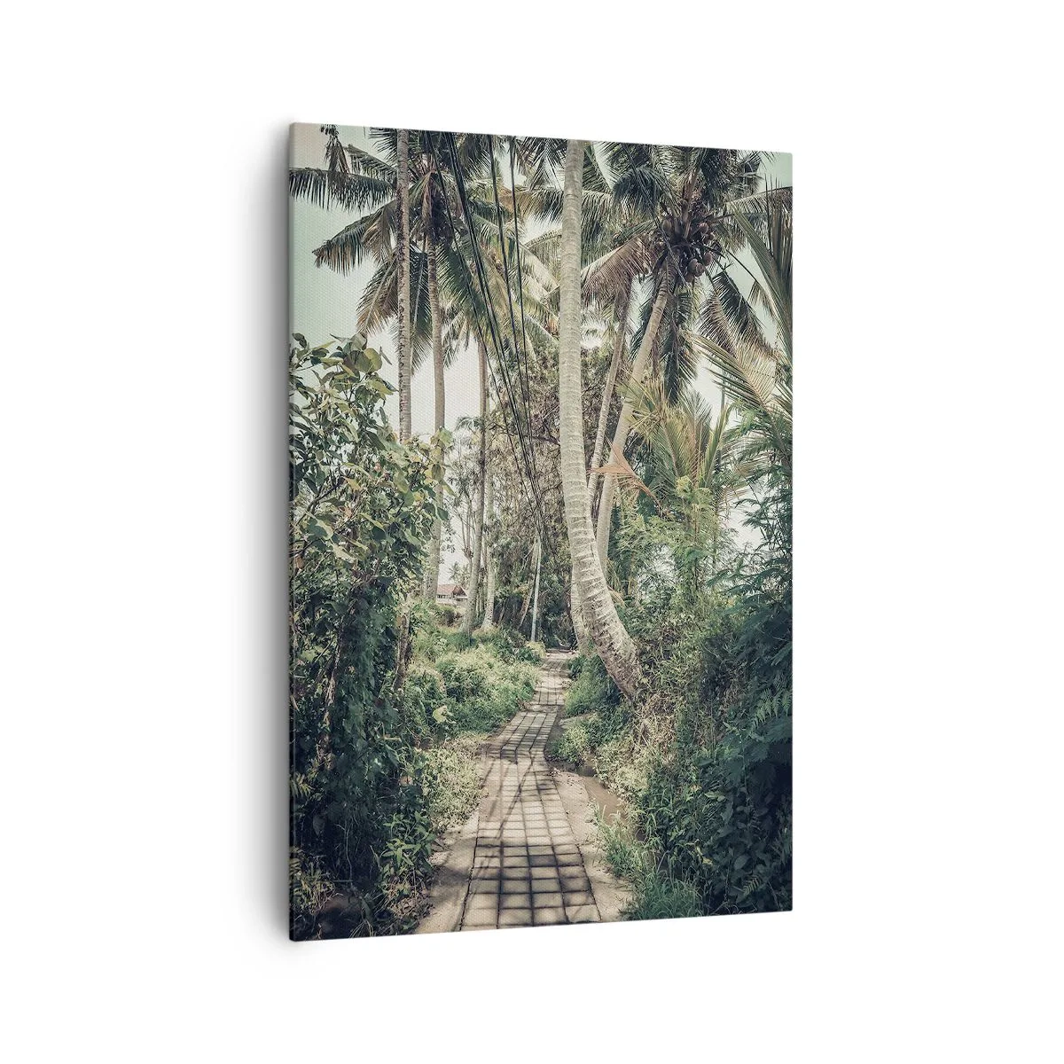 Cuadro sobre lienzo - Impresión de Imagen - Avenida de palmeras - 70x100 cm