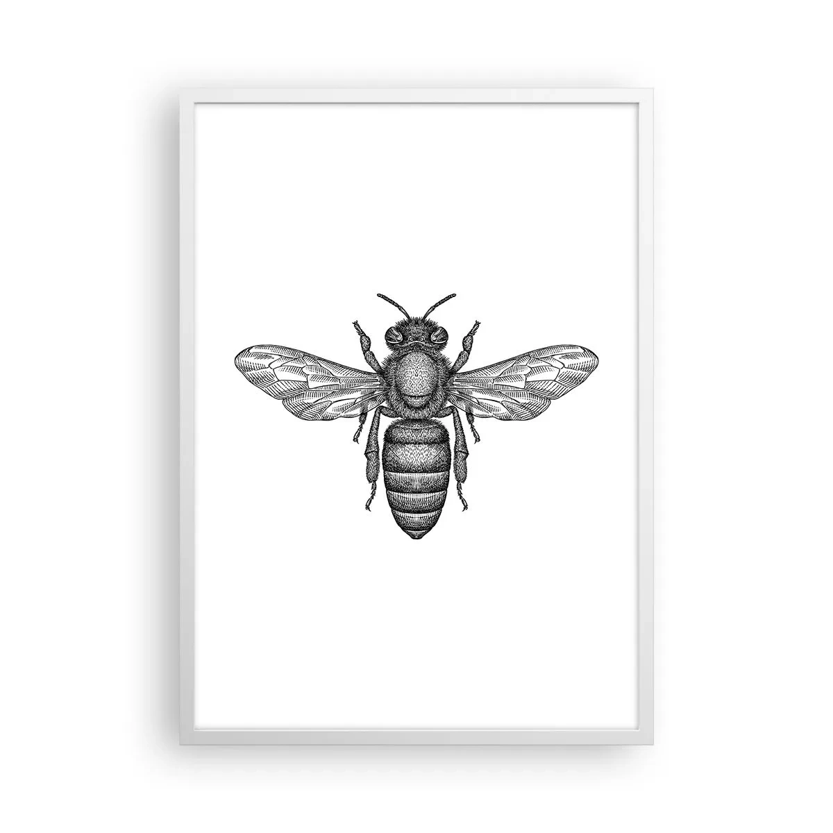 Póster en marco blanco - Retrato de insecto - 50x70 cm