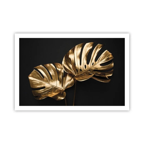 Póster - Tesoros de la naturaleza - 91x61 cm