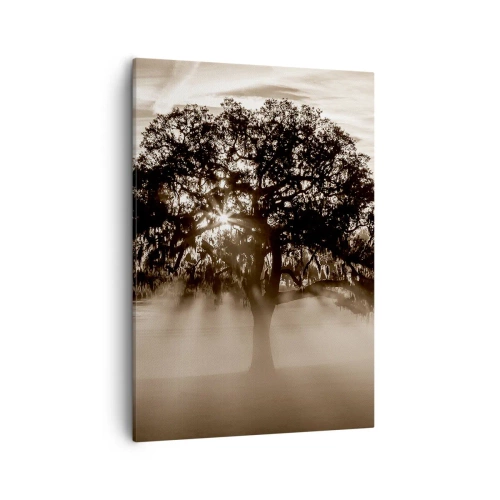 Cuadro sobre lienzo - Impresión de Imagen - Rayos de sol brillando a través de un árbol solitario. - 50x70cm - Un árbol de buenas noticias  - Decoración de pared moderna para salón y dormitorio ARTTOR