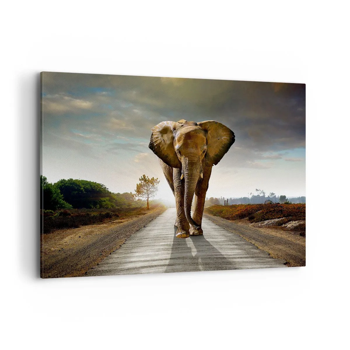 Cuadro sobre lienzo - Impresión de Imagen - Un elefante caminando por una carretera a través de un paisaje al atardecer. - 100x70cm - Y para nada en un almacén de porcelana - Decoración de pared moderna para salón y dormitorio ARTTOR