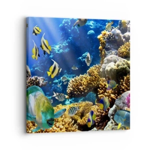 Cuadro sobre lienzo - Impresión de Imagen - Vacaciones submarinas - 30x30 cm