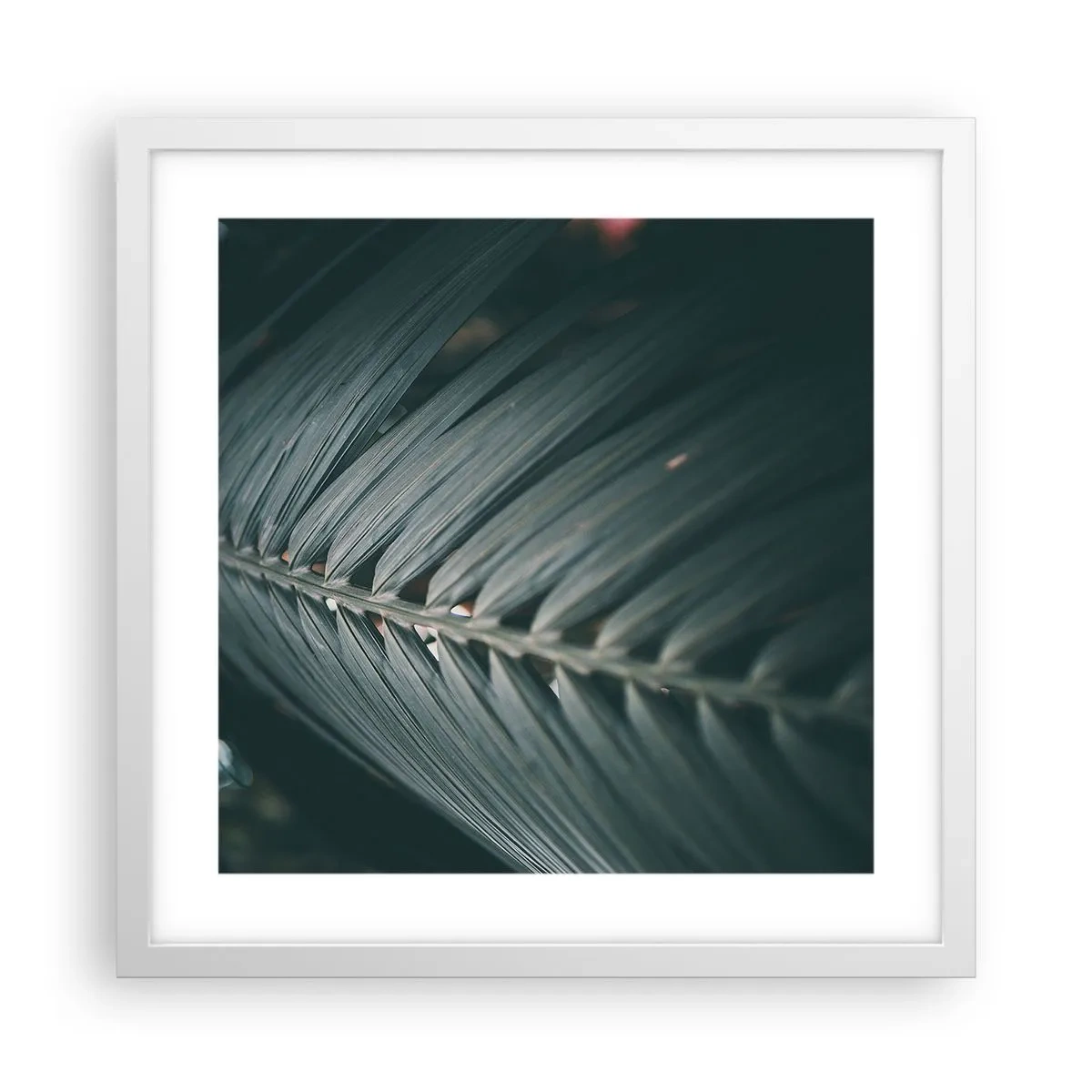 Póster en marco blanco - La precisión de la naturaleza - 40x40 cm