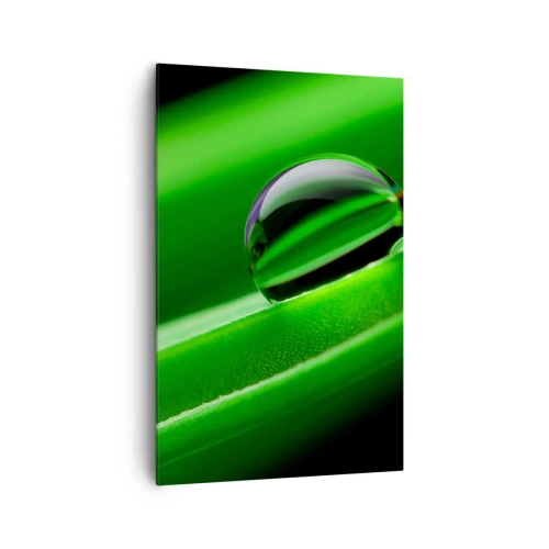 Cuadro sobre lienzo - Impresión de Imagen - Primer plano de una gota de rocío sobre una hoja verde - 80x120cm - La vida de cerca - Decoración de pared moderna para salón y dormitorio ARTTOR