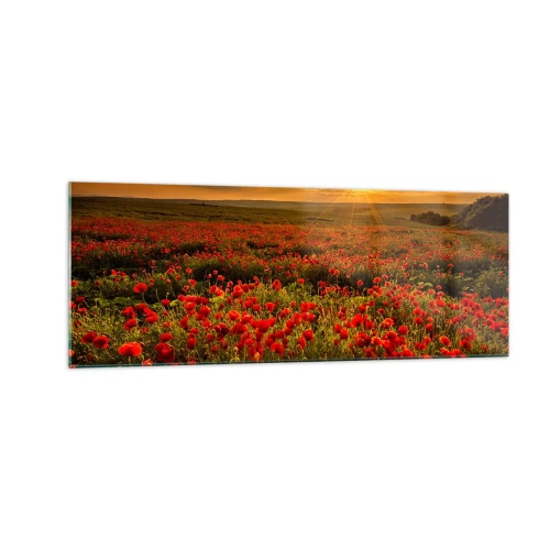 Cuadro sobre vidrio - Impresiones sobre Vidrio - Un campo de amapolas rojas bajo el resplandor del sol poniente. - 140x50cm - Entre los campos de flores - Decoración de pared moderna para salón y dormitorio ARTTOR
