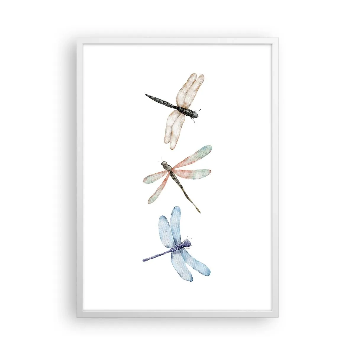 Póster en marco blanco - Libélulas ingrávidas - 50x70 cm