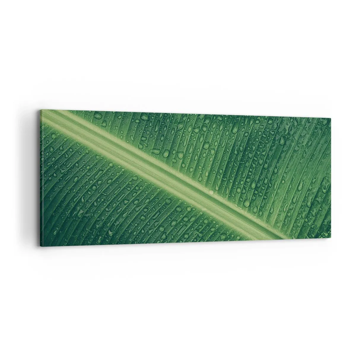 Cuadro sobre lienzo - Impresión de Imagen - Estructura del verde - 100x40 cm