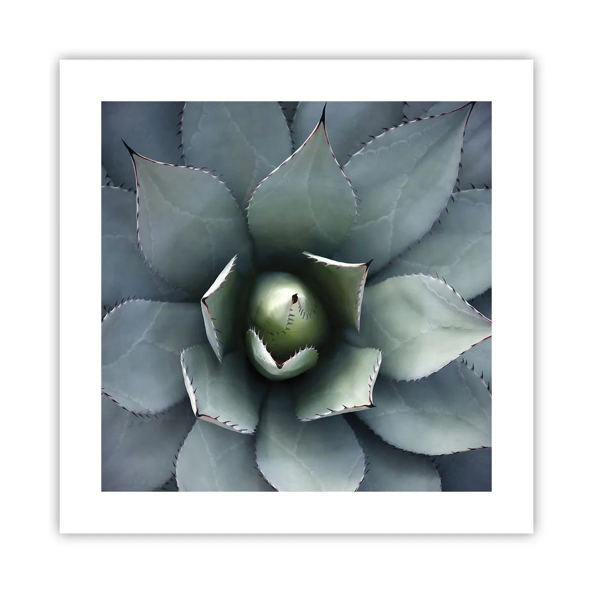 Póster - Perfección natural - 40x40 cm