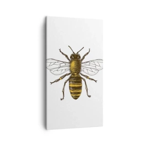 Cuadro sobre lienzo - Impresión de Imagen - Bondad natural - 45x80 cm