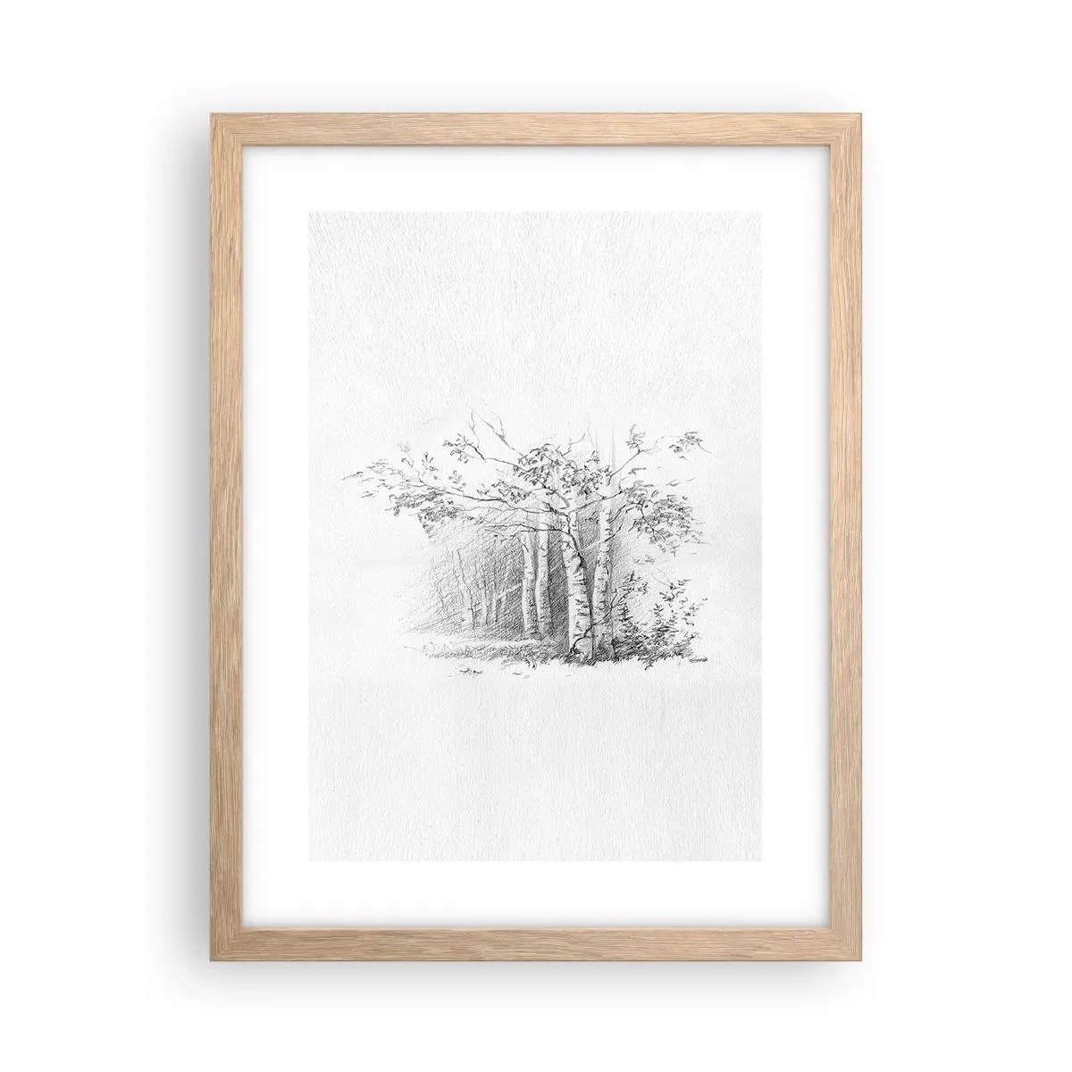 Póster en marco roble claro - La luz de un bosque de abedules - 30x40 cm