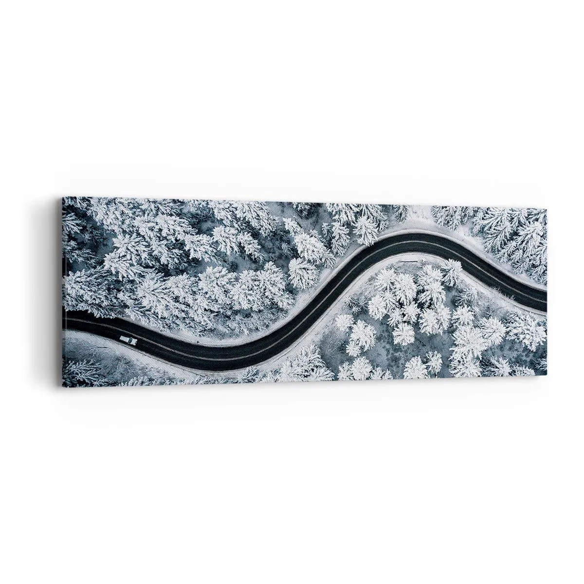 Cuadro sobre lienzo - Impresión de Imagen - A través de un bosque invernal - 90x30 cm