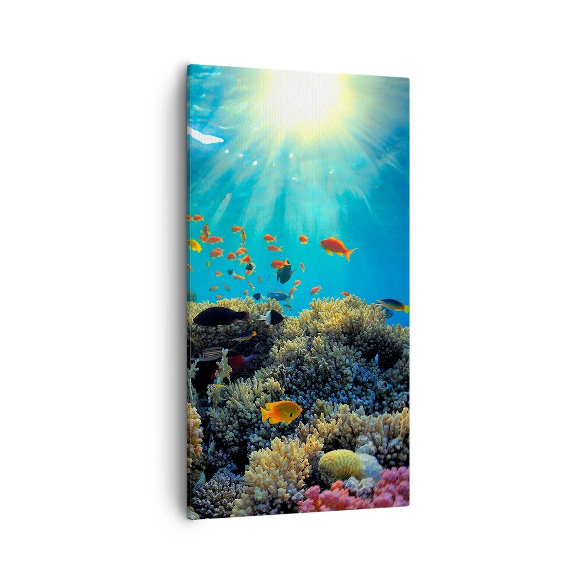 Cuadro sobre lienzo - Impresión de Imagen - Tesoros submarinos - 55x100 cm