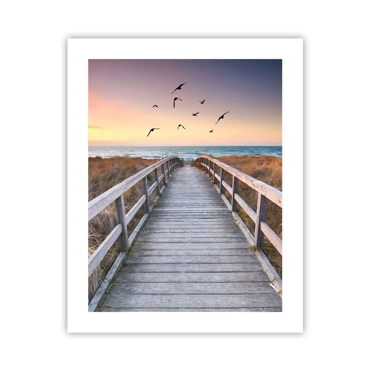 Póster - Camino a lo desconocido - 40x50 cm