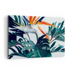Cuadro sobre lienzo - Impresión de Imagen - Flor de Strelitzia rodeada de hojas bajo una luz brillante. - 120x80cm - La jaula del pájaro colorido - Decoración de pared moderna para salón y dormitorio ARTTOR