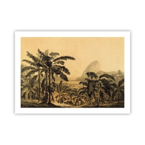 Póster - En un ambiente colonial - 70x50 cm