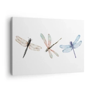Cuadro sobre lienzo - Impresión de Imagen - Tres libélulas en delicados colores pastel. - 70x50cm - Libélulas ingrávidas - Decoración de pared moderna para salón y dormitorio ARTTOR
