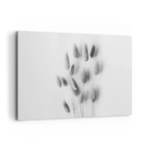 Cuadro sobre lienzo - Impresión de Imagen - Hierbas delicadas en tonos grises sobre un fondo blanco. - 100x70cm - Esponjas naturales - Decoración de pared moderna para salón y dormitorio ARTTOR