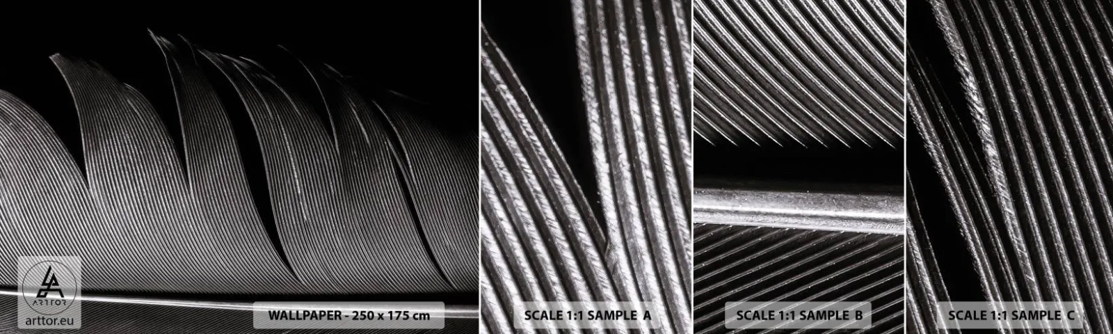 Muestra De Fotomural Standard Eco - Pluma - una construcción maravillosa - Bolígrafo, Minimalismo, Ligereza - 100x30 cm