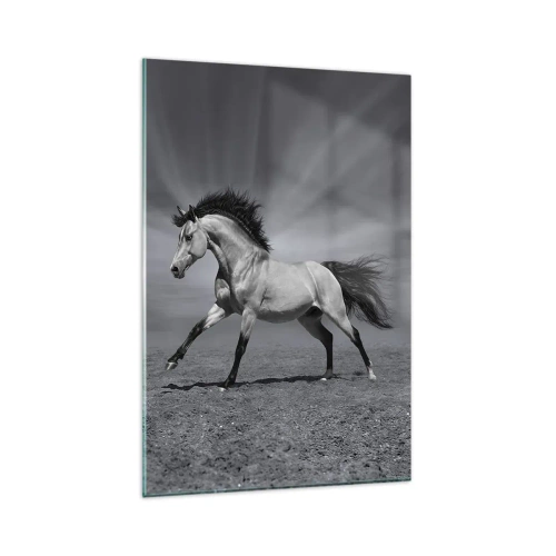 Cuadro sobre vidrio - Impresiones sobre Vidrio - Un caballo blanco y negro en una pose dinámica en el desierto. - 80x120cm - Nacido para deleitar - Decoración de pared moderna para salón y dormitorio ARTTOR