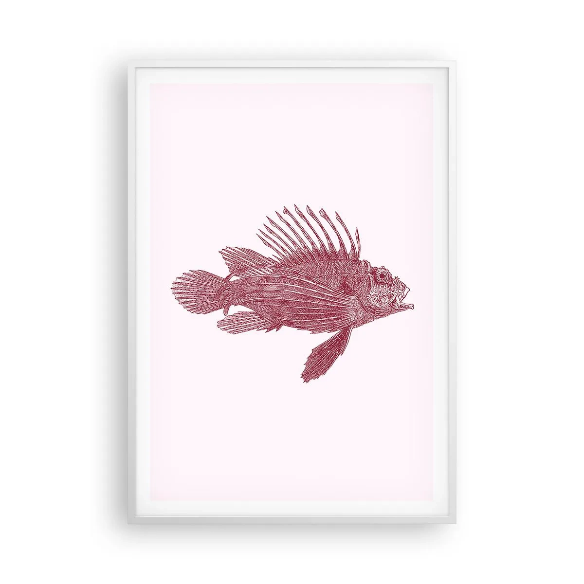 Póster en marco blanco - Un habitante de aguas exóticas - 70x100 cm