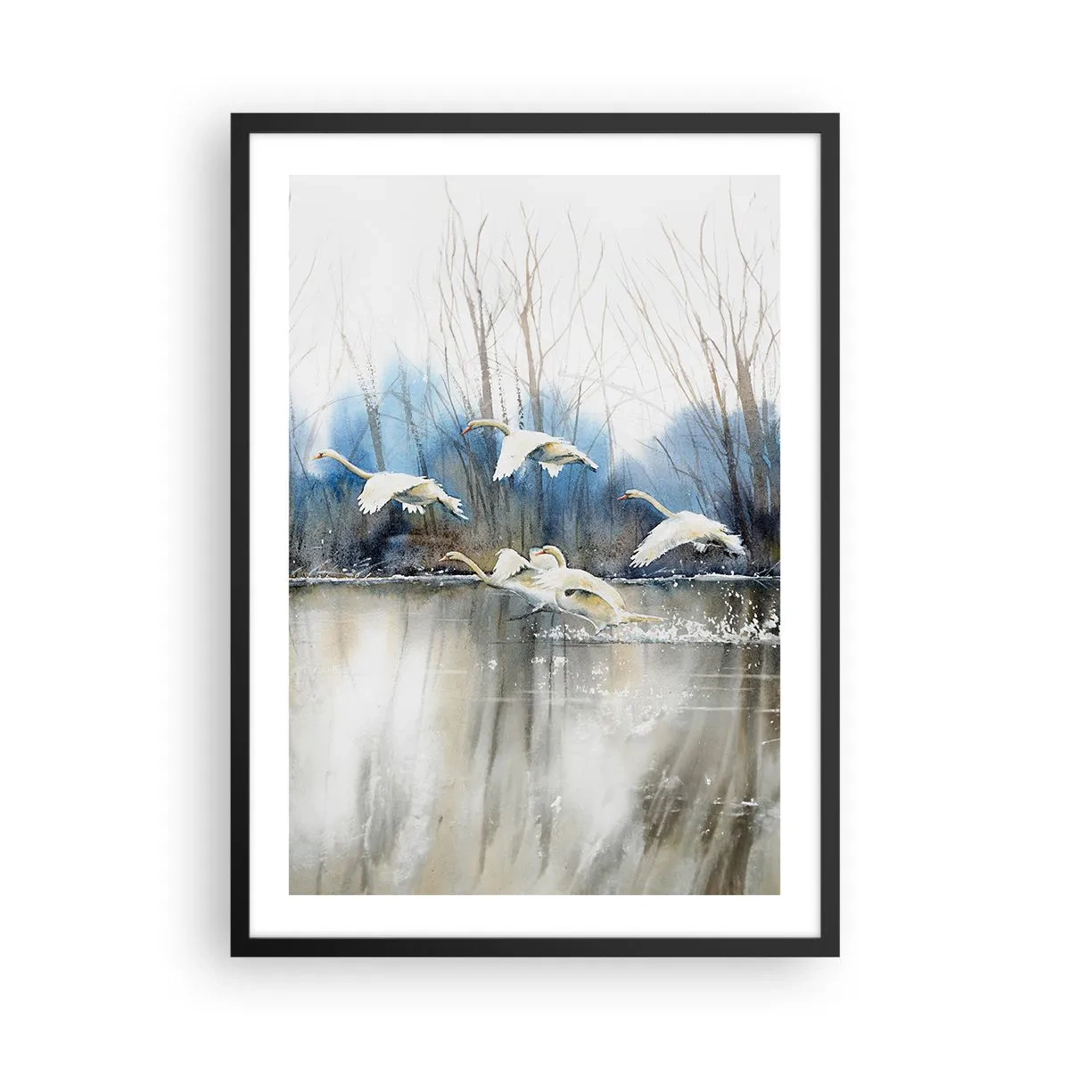 Póster en marco negro - Una bandada de cisnes flotando sobre el agua en un estilo pictórico. - 50x70cm - Como en un cuento de cisnes salvajes - Decoración de pared moderna para salón y dormitorio ARTTOR