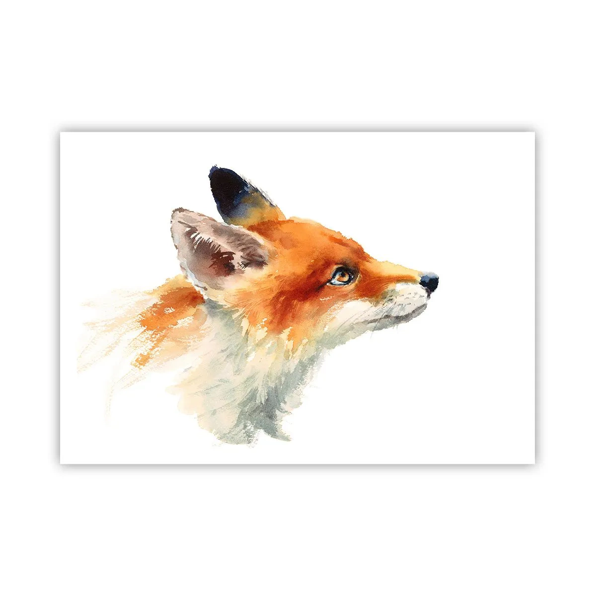 Póster - Zorro rojo en estilo acuarela sobre fondo blanco. - 100x70cm - Nunca se es demasiado cuidadoso - Decoración de pared moderna para salón y dormitorio ARTTOR
