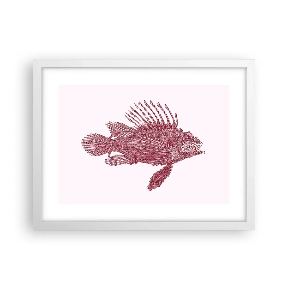 Póster en marco blanco - Un habitante de aguas exóticas - 40x30 cm