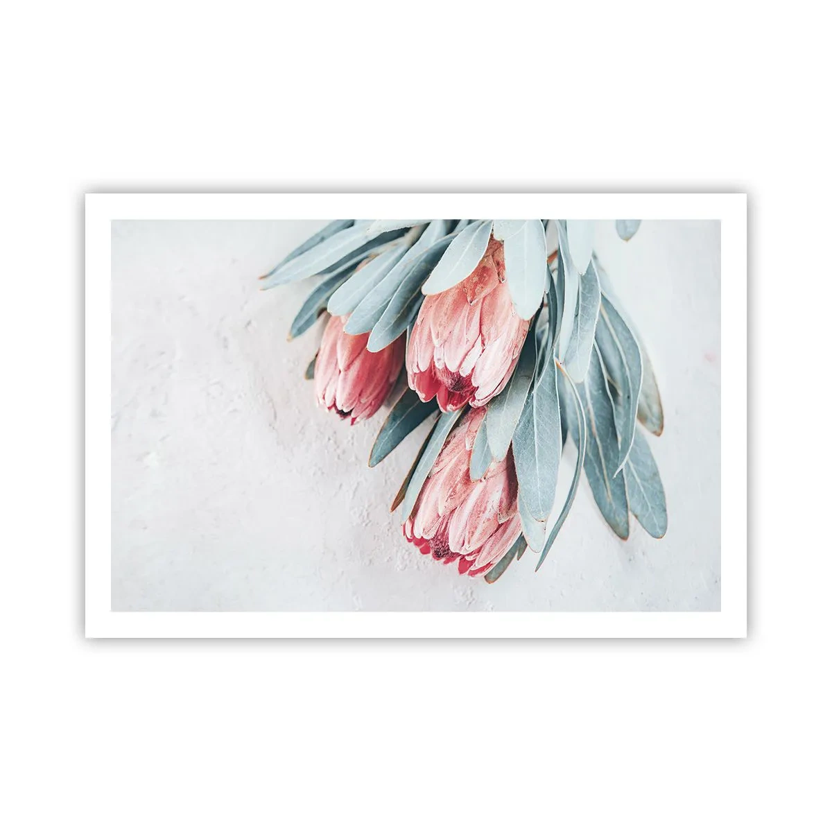 Póster - Avergonzada de su propia belleza - 91x61 cm