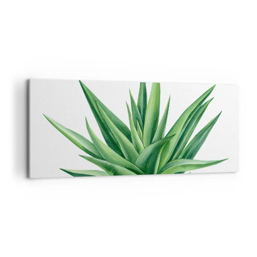 Cuadro sobre lienzo - Impresión de Imagen - Verde - fuerza - vida - 100x40 cm