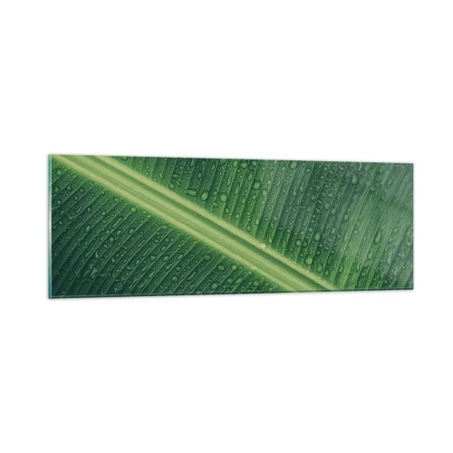 Cuadro sobre vidrio - Impresiones sobre Vidrio - Estructura del verde - 90x30 cm