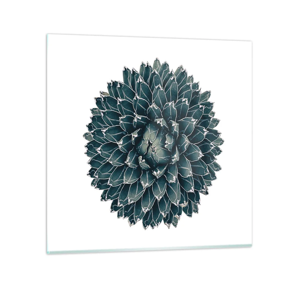 Cuadro sobre vidrio - Impresiones sobre Vidrio - Estrella del desierto - 30x30 cm