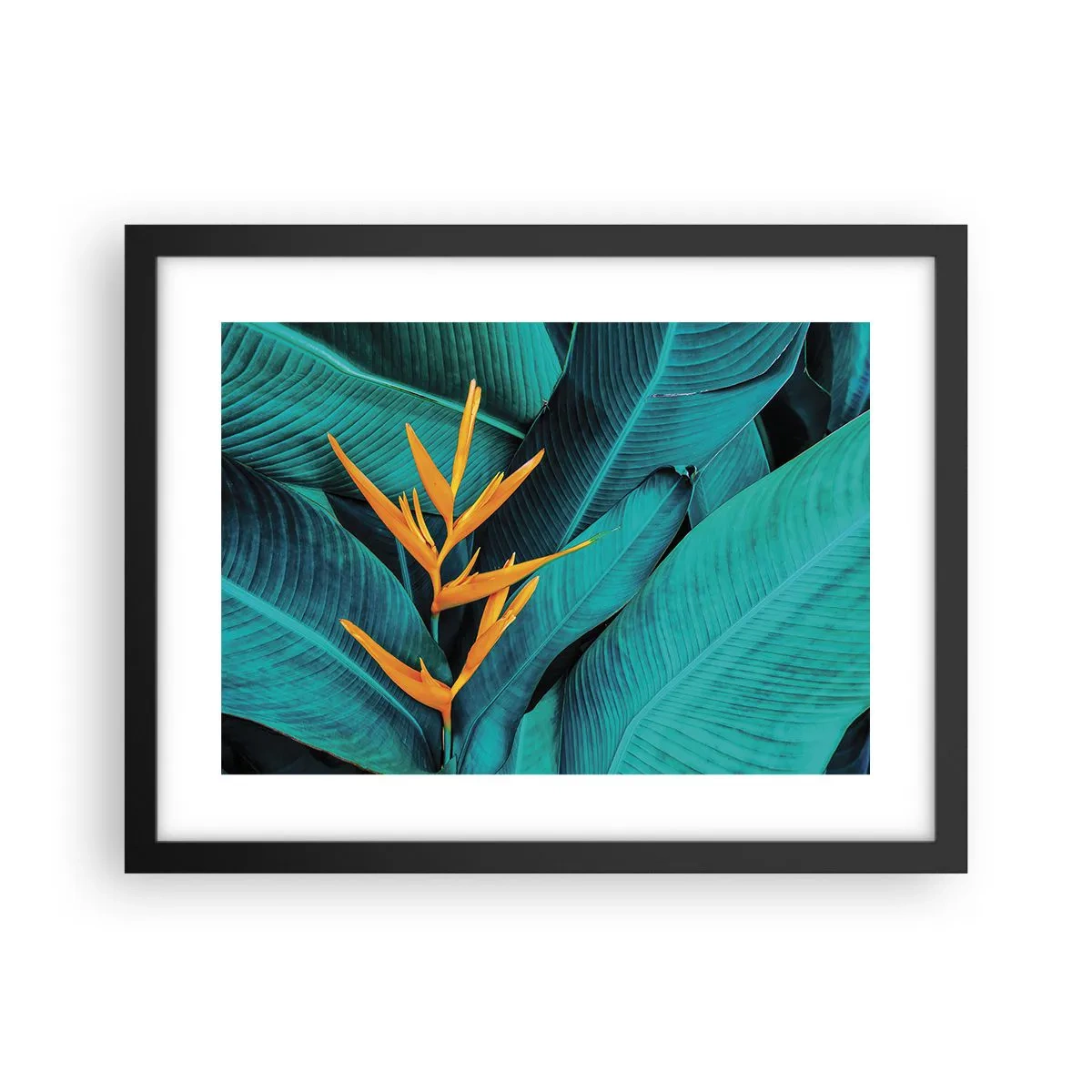 Póster en marco negro - Flor del Edén - 40x30 cm