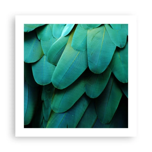 Póster - La precisión de la naturaleza - 50x50 cm