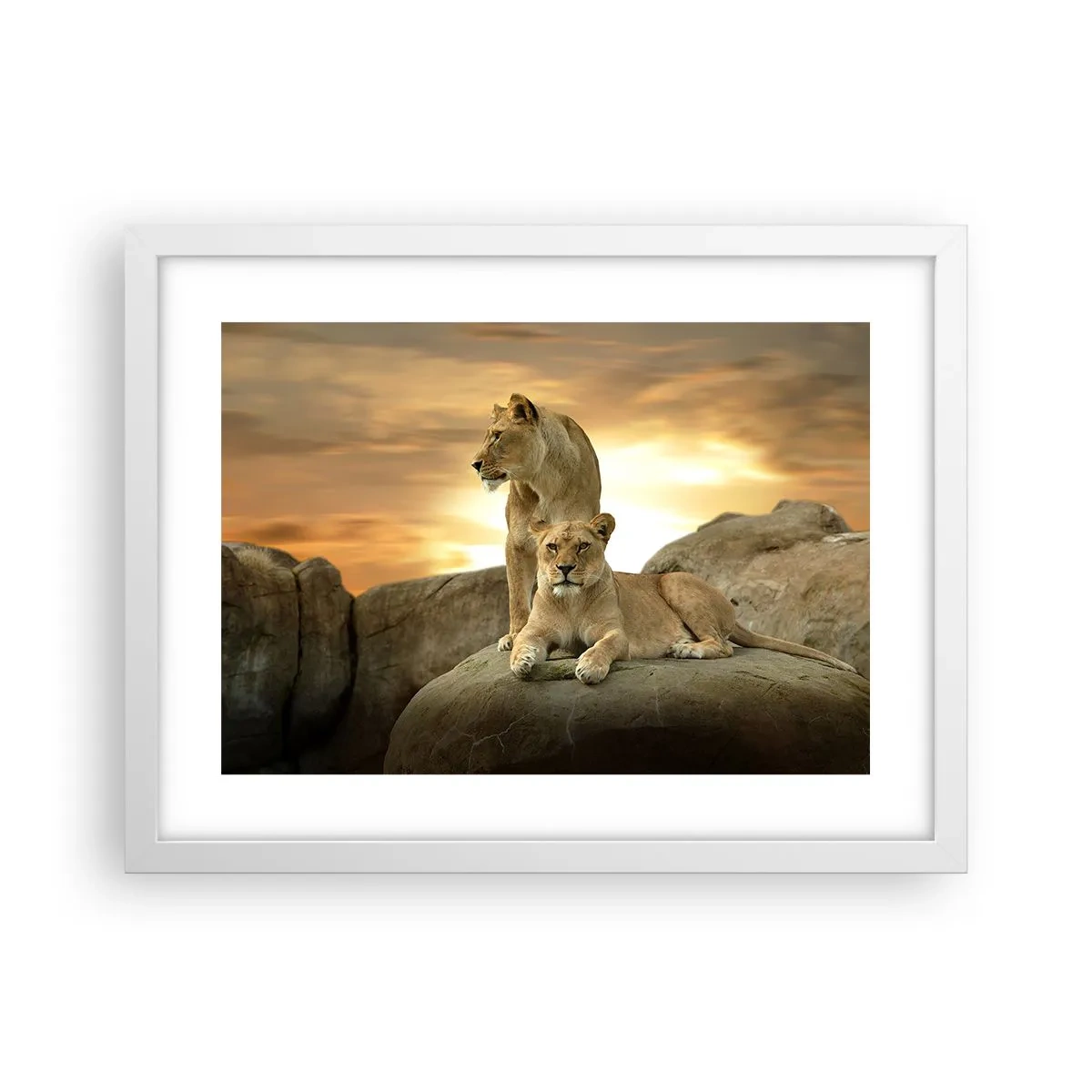 Póster en marco blanco - Majestuosidad real - 40x30 cm
