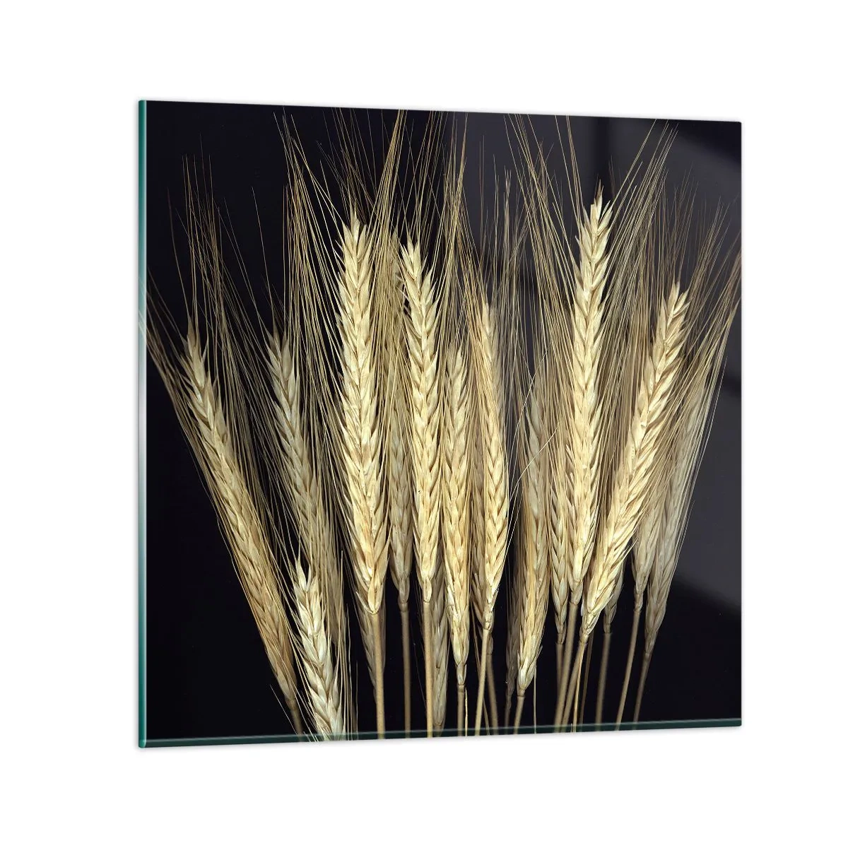 Cuadro sobre vidrio - Impresiones sobre Vidrio - Magia rústica - 60x60 cm