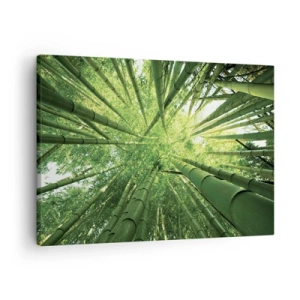 Cuadro sobre lienzo - Impresión de Imagen - Vista hacia arriba a través de un bosque de bambú verde. - 70x50cm - En un bosquecillo de bambú - Decoración de pared moderna para salón y dormitorio ARTTOR