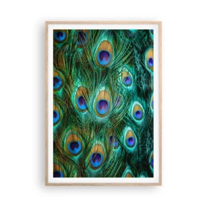 Póster en marco roble claro - Mirada de pavo real - 70x100 cm