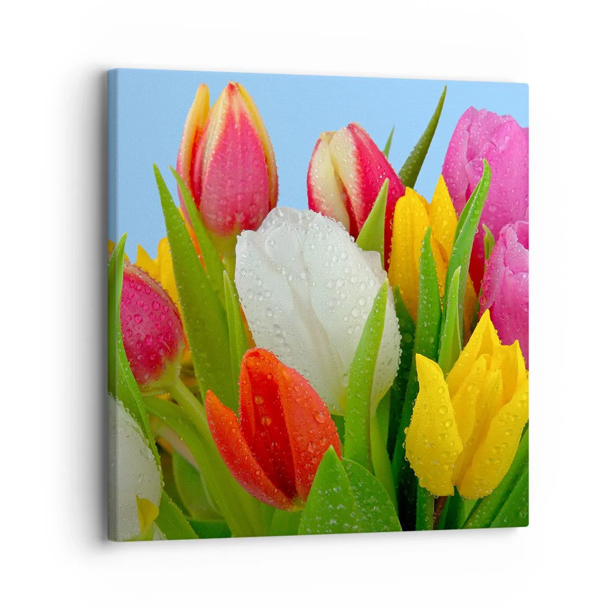 Cuadro sobre lienzo - Impresión de Imagen - Arco iris floral en gotas de rocío - 30x30 cm