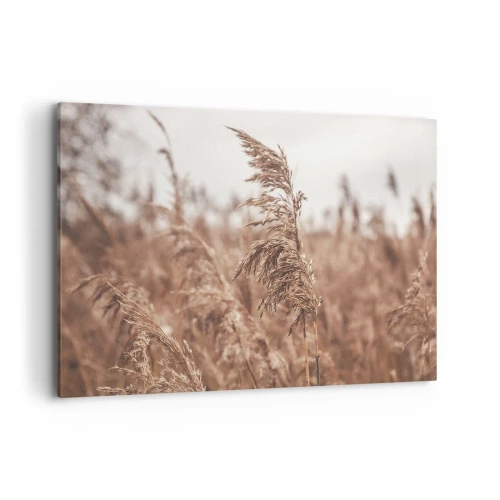 Cuadro sobre lienzo - Impresión de Imagen - Hierbas doradas con el paisaje otoñal como telón de fondo - 100x70cm - El otoño ya está en los campos - Decoración de pared moderna para salón y dormitorio ARTTOR