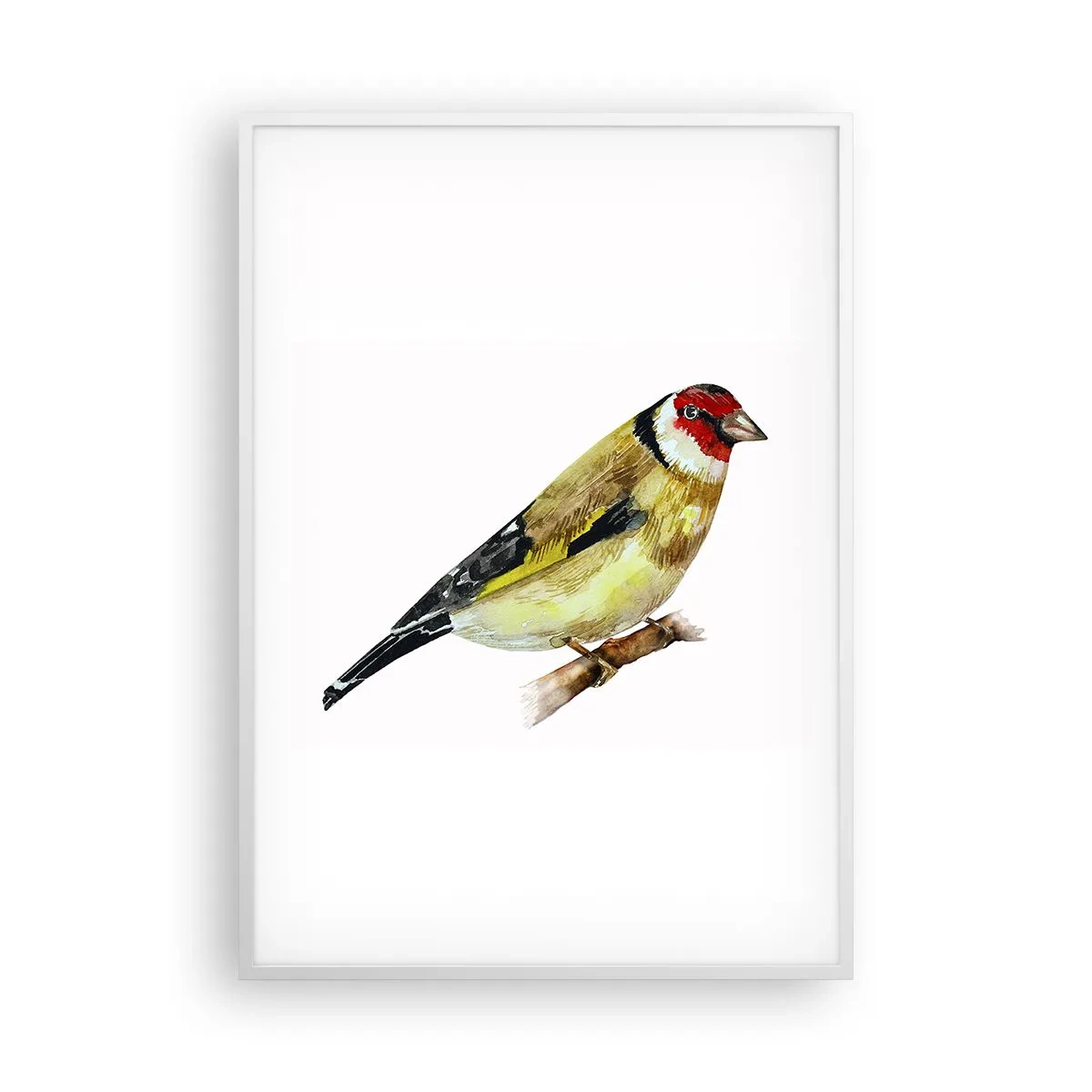 Póster en marco blanco - Retrato de pájaro - 70x100 cm