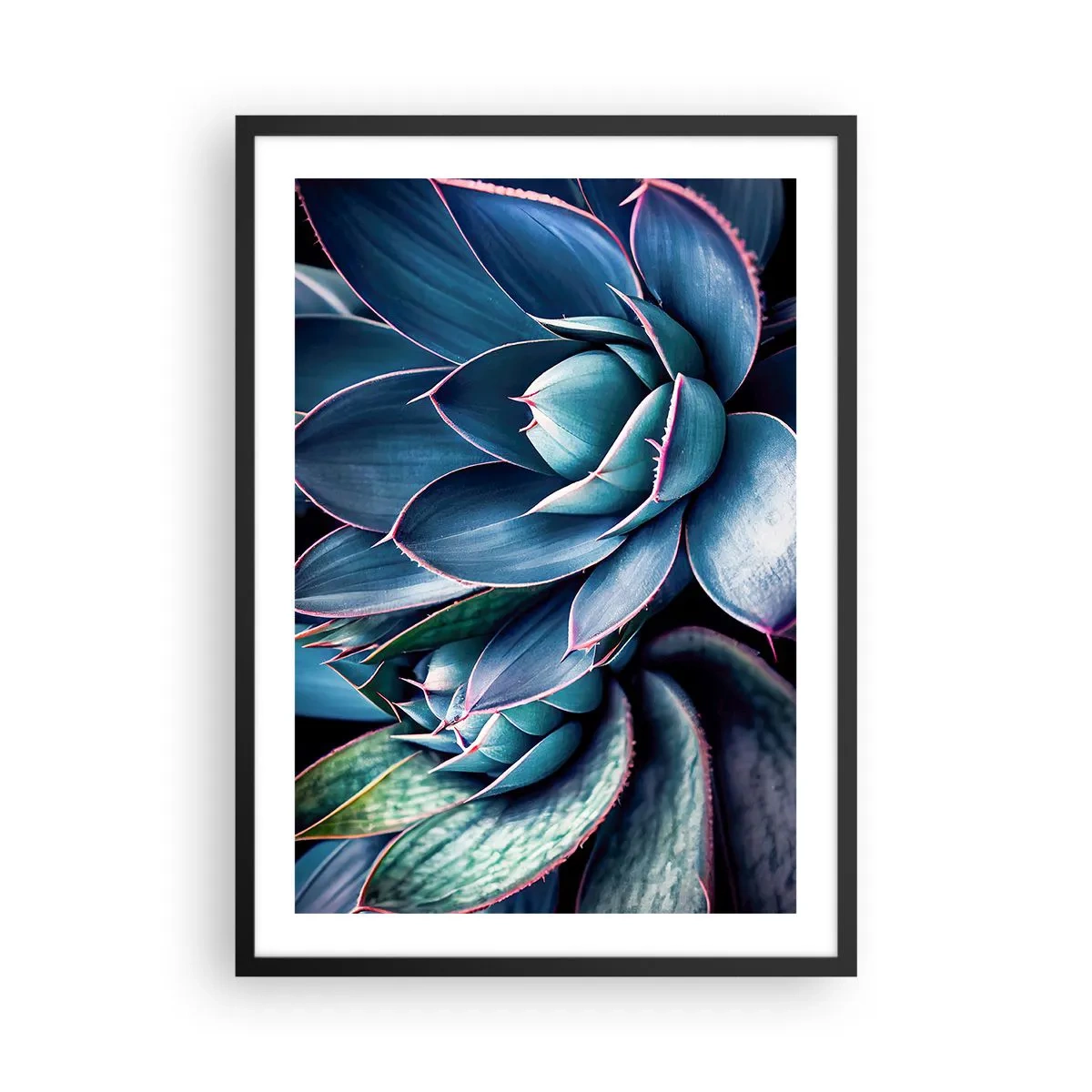 Póster en marco negro - Agave en tonos azules y verdes - 50x70cm - Fuerza vital - Decoración de pared moderna para salón y dormitorio ARTTOR
