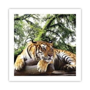 Póster - Atentamente - 50x50 cm