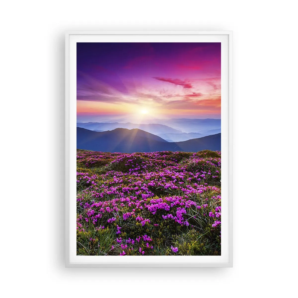 Póster en marco blanco - Dulce aroma a frescura - 70x100 cm